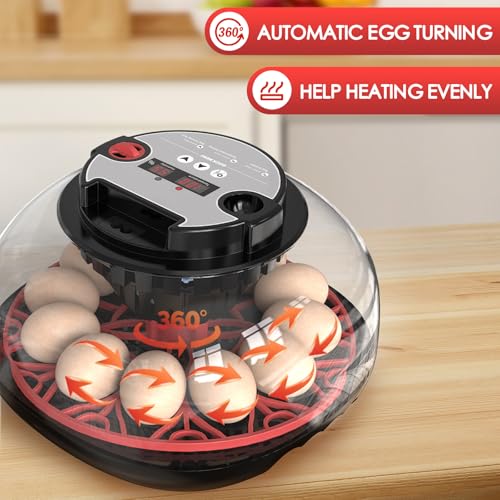 Incubators for Hatching Eggs Automatic Egg Incubator with Temperature Control Humidity Display 12 Egg Capacity for Chicken Duck Goose Eggs Digital Display Auto Turner 360° View - color: Red Black