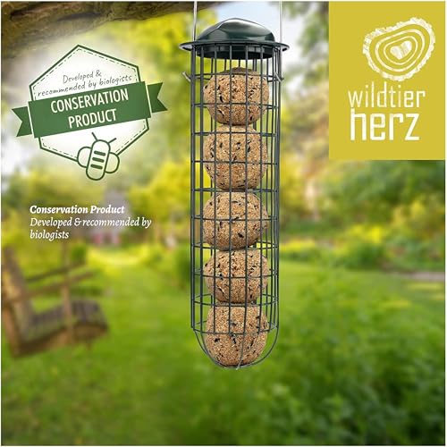 Wild Animal Heart | Fat Ball Holder 12" - 5 Year Guarantee - Made of rustproof Metal Bird Feeding Station for Fat Balls - Ecological Bird Feeder (31cm, Green)