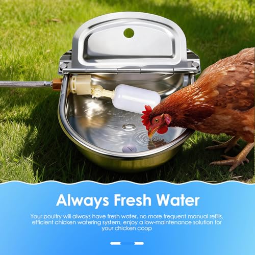 Metal Automatic Chicken Waterer, Duck Waterer No Mess | Stainless Steel Outdoor Wall Mounted Chicken Water Dispenser with Float Valve, Hose and Drain Plug for Chicken Coop