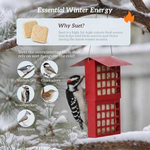 Solution4Patio Suet Bird Feeder for Outdoors, All Metal Bird Feeder for Wild Birds, Heavy Duty Galvanized Steel Hanging Feeder with Slide-Top Roof, Weather Resistant, Holds 2 Suet Cakes (Red) - color: Red
