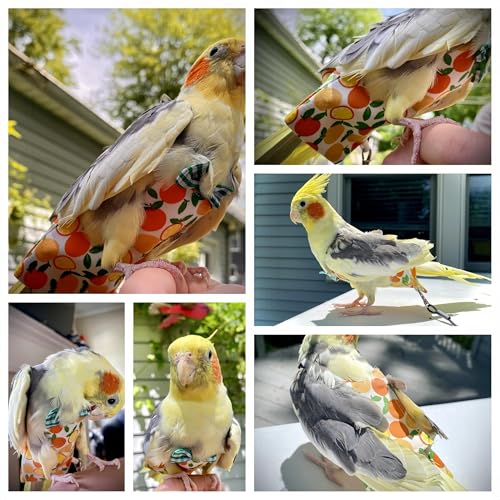 6Pcs Bird Diapers Bird Harness Flight Suits Diapers Reusable Parrot Nappy with Waterproof Inner Layer Washable Cute Urine Wet Suit Costume for Cockatiel Conure Budgie Macaw Parakeet,L - size: L