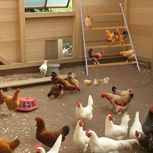 Chicken Perch for Coop, Chicken Roosting Bars for Backyard Poultry, Easy to Assemble & Clean, 55'' L x 39'' W