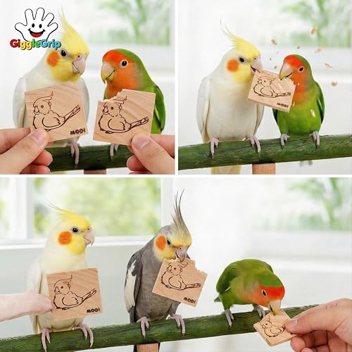 10 Pack Bird Chew Toys, 100% Natural Pine Wood Blocks for Parrot Chewing & Beak Trimming, Durable Bird Cage Accessories for Medium Small Birds, Conures, Cockatiels - style: 10 Small Slices