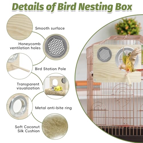 PINVNBY Transparent Acrylic Parakeet Nesting Box Budgie Breeding Box Bird Nest for Cage for Bird House with Perch for Parrots, Cockatiels, Lovebirds and Small Birds (L: 8.07 x 6.2 x 3.93 inch) - size: Acrylic,L: 8.07*6.2*3.93 inch