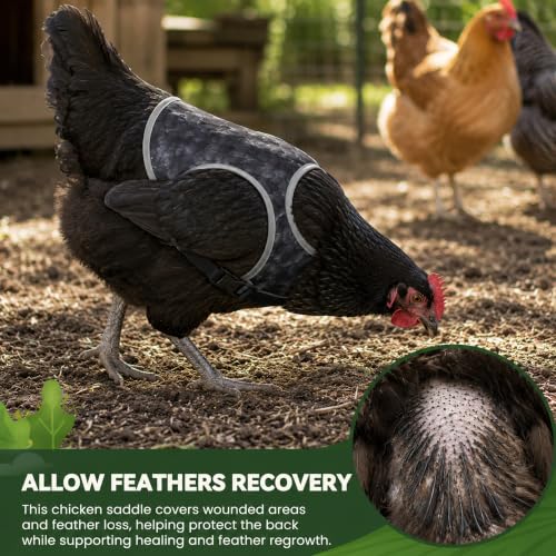 Chicken Saddle for Hens, Adjustable Hen Apron Back Protector for Protection Feather Regrowth, Waterproof Breathable Chicken Clothes with Straps, Apron for Medium to Large Hens Saddle（Black） - color: Black