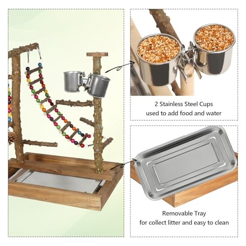 Wooden Bird Play Stand Parrots Playground Perch Stand with Bird Ladder Chewing Toys and 2 Stainless Steel Cups (Brown) - color: Brown