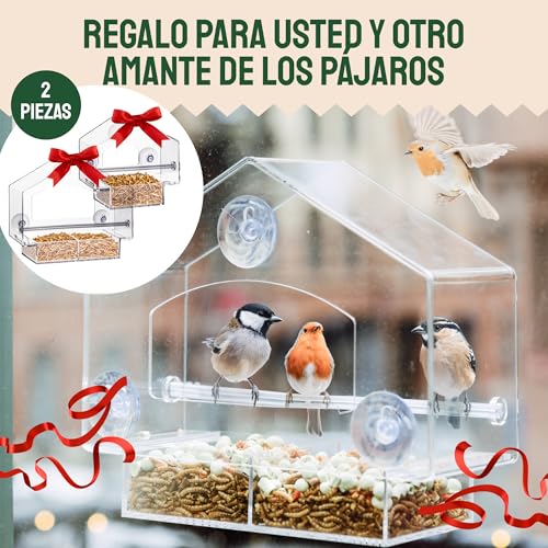 Hatortempt Window Bird Feeder - Set of 2, Clear Plastic - Squirrel-Proof Design with Strong Suction Cups - Wild Bird Feeders for Outdoors & Backyard Birding & Wildlife Viewing
