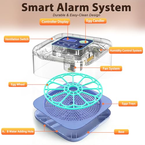 Incubators for Hatching Eggs, 12-24 Egg Digital Incubator with Smart Temperature & Humidity Control, Auto Egg Turner, Egg Candler, Poultry Hatcher for Chicken Eggs, Ducks, Goose, Quail Eggs