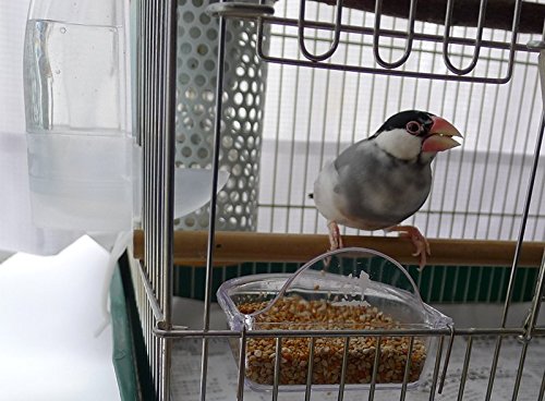 Bird Cage Seed Feeder Cup Shallow Style Set of 2 for Care, Treat (M) | For Gouldian finch / Budgerigar size - size: (M)