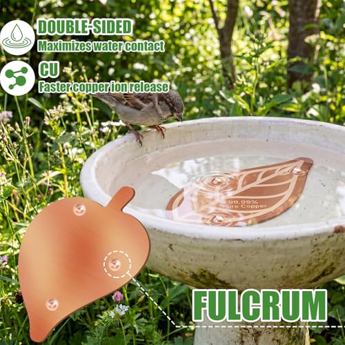 4 Pack Pure Copper Disk for Bird Bath Water Cleaner,Leaf | Triple-point Support, Outdoor Bowl Purification, Algae Prevention Safe, Pure Copper Discs, Flower Petal Design Shapes - size: Leaf