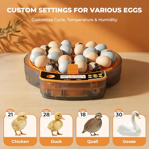 24 Egg Incubator - Smart Incubators for Hatching Chicken Eggs with Temperature & Humidity Control, Egg Candler, Auto Egg Turner, and Abnormal Alarm - size: 24 Eggs