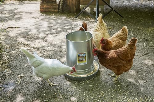 Hanging Poultry & Gamebird Feeder with Feed Pan, 30 Lb Galvanized Steel - size: 30 pounds