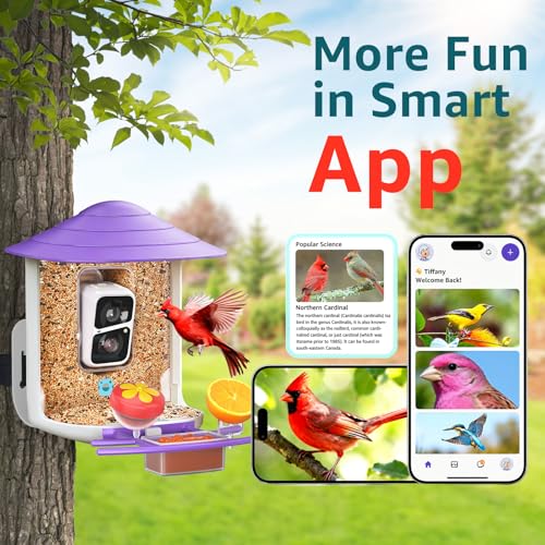 birdsnap® TUC Bird Feeder with Camera Solar Powered 2K Video with 32GB Card | AI Bird Species Identification, Squirrel-Proof, IP65 Waterproof, Outdoor Wireless, 2.4G WiFi, Gift for Mom Dad Bird Lovers - color: Purple
