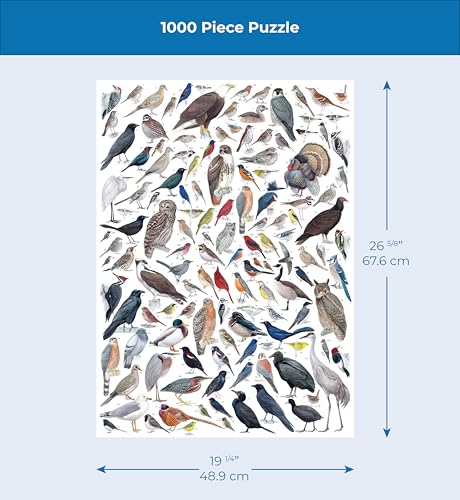 New York Puzzle Company - Cornell Lab Birds of Eastern/Central North America - 1000 Piece Jigsaw Puzzle for Family Game Nights by Pedro Fernandes - color: Birds of Eastern/Central North America 1000 Piece