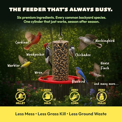 JCs Wildlife Wild Bird Blend Seed Cylinder with Hole, Sunflower Safflower Pecans Peanuts Bird Food for Outside Feeders, Cardinals Woodpeckers Chickadees Nuthatches, Made in the USA, 1.5 lb, 1 Cylinder - size: 1.5 Pound (Pack of 1)