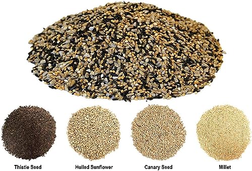 Backyard Seeds Finch & Small Songbird Frenzy 5lbs - Premium Nyjer Thistle Seed Blend for Finch Feeders, Small Bag of Wild Bird Food - size: 5 Pound (Pack of 1), style: Finch Frenzy