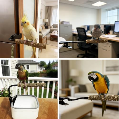 Adjustable Bird Perch Stand with Clip,Portable Parrot Stand, Bendable Bird Training Perch for Cockatiels, Conures, Lovebirds and Medium