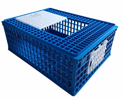 2 Pack Chicken Transport 3 Door CAGE COOP Crate Chicken Quail Pigeons