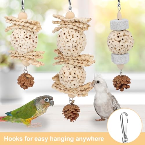 Wontee Bird Toys 3 Pack Parrot Foraging Hanging Toys Sola Ball Natural Nuts Chew Toys for Cockatiels Conures Parakeets Budgies Senegal (3 Pack) - size: 3 Pack