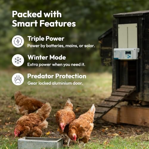 ChickenGuard AIO Complete Automatic Chicken Coop Door Plus AA Batteries | Battery-powered automatic chicken door opener with timer/light sensor, anti-pinch, weather-resistant anti-lift aluminum door