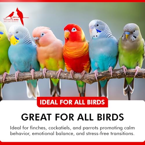Mood Food 2 oz – Natural Calming Supplement for Birds – Non-Sedating Formula – Helps Reduce Stress, Aggression & Feather Plucking – Gentle Support with Amino Acids & B Vitamins | Promotes Natural Stress, Aggression & Feather Plucking Reduction – Gentle B-