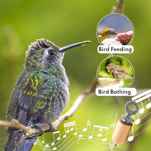 Audubon Bird Call - Natural