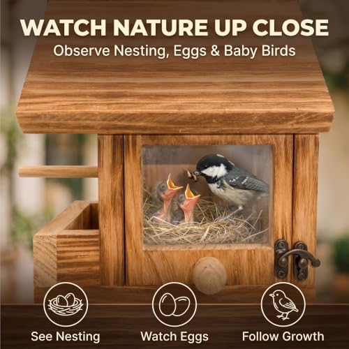 Window Bird Houses for Outside with Clear See-Through Viewing Window | 2-in-1 Wooden Birdhouse with Feeder, Suction Cups & Hanging Rope, Carbonized Wood Bird House for Bluebird Wren Finch - color: Side