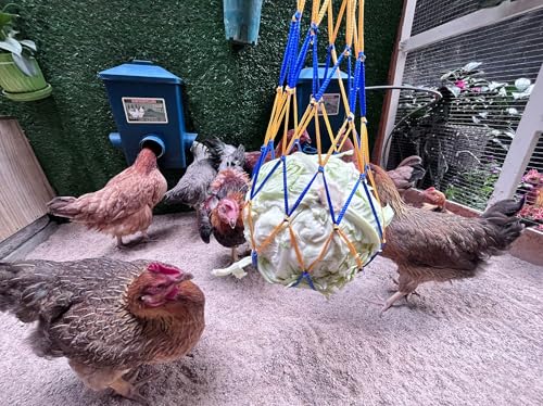 Chicken Waterer, Chick Water, Chicken Coop Accessories - 6 Gallon Capacity, 2-Pack 3 Gallon (26 pounds Total) (Prussian Blue, Large). - color: Prussian Blue