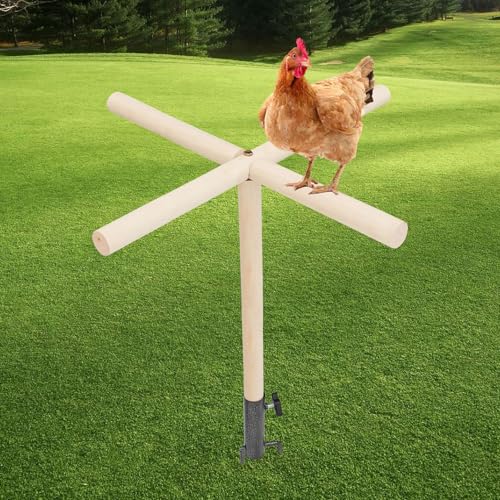 Chicken Perch Toy for Coop, Wooden Chick Perch Stand with Metal Ground Plug, Chicken Coop Backyard Poultry Accessories, Suitable for Poultry Rooster Chicks Large Bird Parrot - size: 23 × 23 Inch
