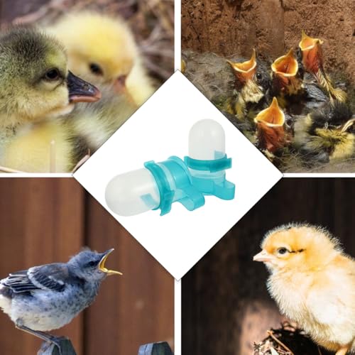 Kisangel 2 Pack Pigeon Water Feeder Automatic Drinking Bowls for Cage Removable Bird Water Dispenser for Parrots Doves and Other Birds 6.10 X 3.14 X 3.14 in