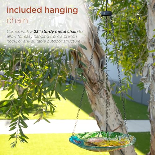 Alpine Corporation KBD126 Outdoor Hanging Glass Bird Feeder and Birdbath, Floral and Bee Bowl Design with Chain, 10" W - style: Floral and Bee
