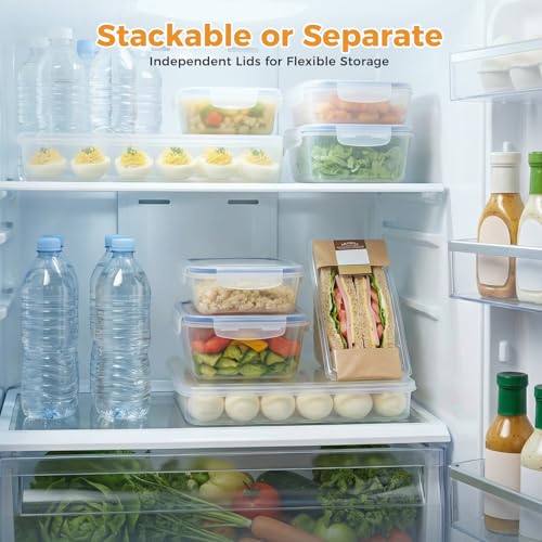 HANSGO Deviled Egg Containers with Lid, Set of 2, Plastic Clear Deviled Egg Tray Holder Carrier for 60 Eggs, Suitable for Refrigerator, Home, Party, Kitchen Supplies, Stackable & Portable - color: 60 Egg Box