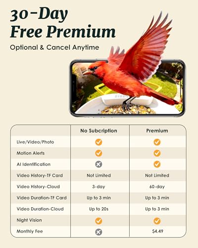 Bird Feeder with Camera Solar Powered 2K Video with 32GB Card Auto Capture | Instant App Alert, AI Identify, Easy Refill, 1.8L Capacity, IP65 Weatherproof, Pole/Bracket Mount, 3 DIY Add-ons, 2.4G Wifi - color: Yellow
