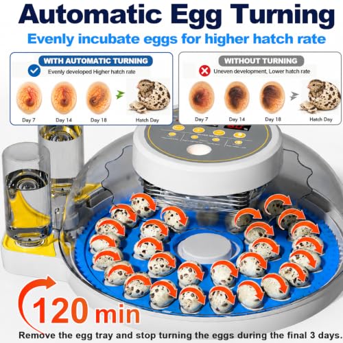 32 Quail Egg Incubator for Hatching Eggs, Dual Power Supply, Automatic Egg Turner, Humidity & Temperature Monitor, Egg Candler, External Water Filling, Bird Egg Incubator for Quail Dove