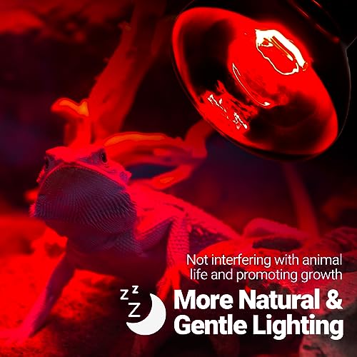 REPTI ZOO 150W Infrared Heat Lamp Bulb for Reptile, 2 Pack Infrared Basking Spot Light for Reptiles & Amphibian,Bearded Dragon, Leopard GeckoTurtle,Lizard, Chickens | Pet Brooders Heat Lamp - style: 150W/Infrared Lamp