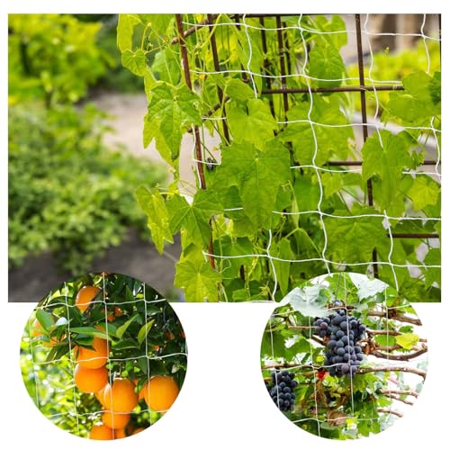 Trellis Netting, PDGROW Garden Plant Trellis Netting, 6 x 15 ft Heavy Duty Garden Trellis Netting, Outdoor Grow Net for Vines, Fruits, Vegetables, Grapes, Beans,Peas, 1 Pack - size: 6x15ft - 1 Pack