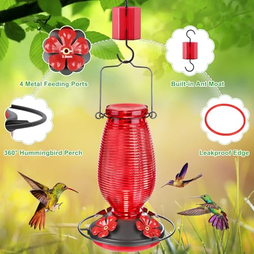 Glass Hummingbird Feeder for Outdoors Hanging, 20 OZ Humming Birds Feeders with 4 Bee Guard Feeding Ports & Built-in Ant Moat, Bird Feeder for Outside, Red,2 Pack