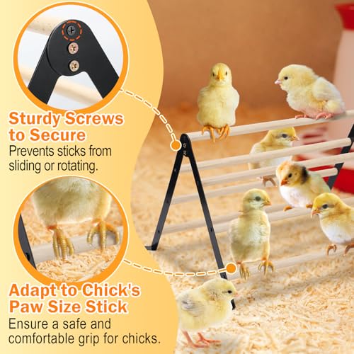16.5" Lx13.4 Wx9.8 H Large Metal Stable Chick Perch - Wooden Baby Chicks Roosting Bars, Easy to Assemble & Clean Stand Ladder Fun Toys for Coop Accessories