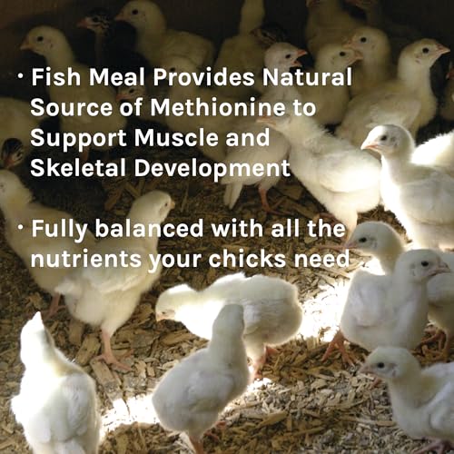 New Country Organics | Starter Feed for Baby Chicks | Soy-Free | 21% Protein | Certified Organic and Non-GMO | 10 Lbs - size: 10 Pound (Pack of 1)