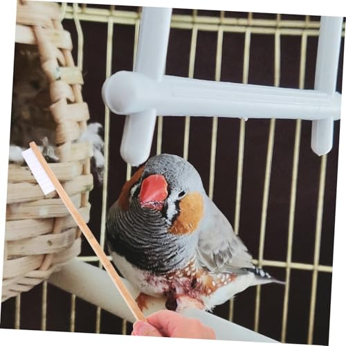 BESTonZON 2Pcs Bird Cage Cleaning Brush Set Efficient Droppings Scoop Multi Function Cleaning Tool for Small Pet Cages User Friendly Durable Accessories for Bird Care
