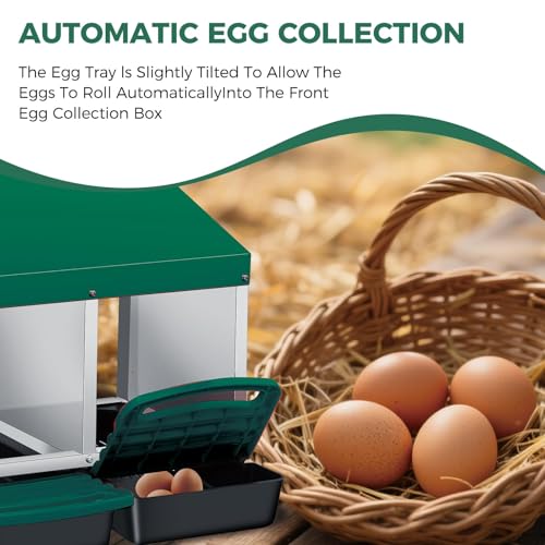 Garvee 3-Hole Rollaway Chicken Nesting Box for Hens –Chicken Nest Box with Removable Trays, Easy Egg Collection & Cleaning, Wall Mount or Freestanding, Sturdy Chicken Laying Boxes, Green - color: Green-3 Hole