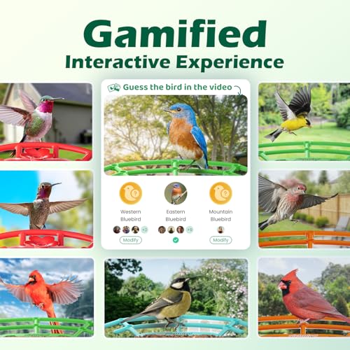 Bird Feeder with Camera, Smart Bird House with Cam for Outside, 2K HD Auto Record Video, AI Identification & Instant Alerts, Solar Powered, Bird Watching Gifts for Family and Birdlovers | 2K HD Auto Record Video, AI Identification & Instant Alerts, Solar