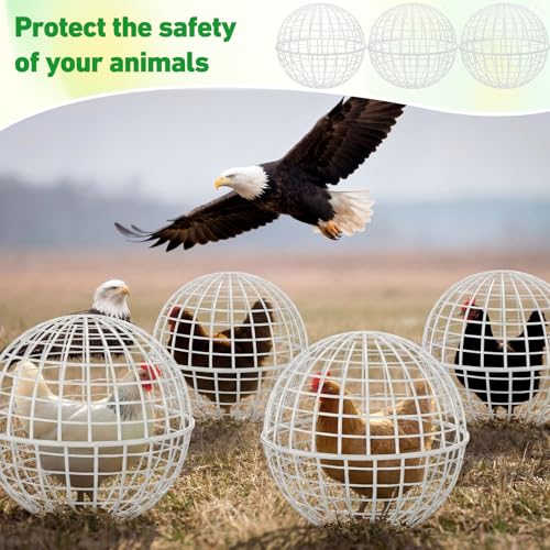 Leinuosen 4 Pack Chicken Ball Cage Movable Mesh Rabbit Coops Plastic Detachable Rolling Safety Hutch Prevents Dog Bites Horse Trampling for Bird Duck Outdoor(White) - color: White