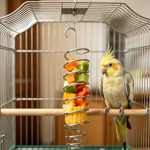 4PCS Millet Holder, Bird Foraging Feeder Set for Small to Medium Birds, Includes 2 Millet Holders and 2 Fruit Forks