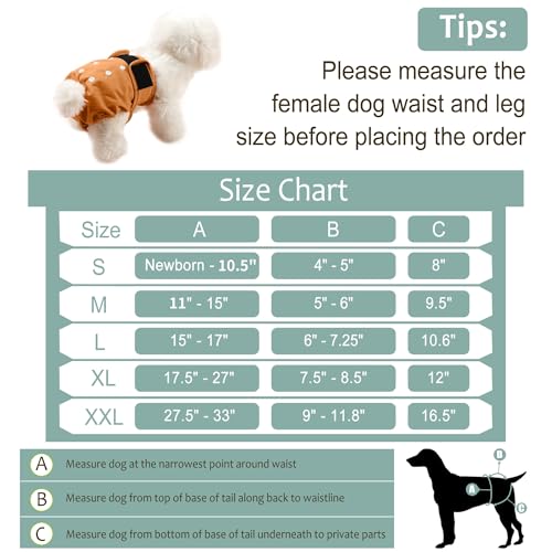 Female Dog Diapers - Premium Reusable Diapers for Doggie in Heat - Highly Absorbent Dog Diapers Female for Pet Incontinence with Adjustable Snaps Brown Black, S - color: coffee&black&gery, size: Small（New Born-11.5“Waist）
