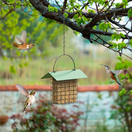 Bird Feeder for Outdoors, Squirrel Proof Suet Feeder for Outside Hanging | Adjustable Chain Hanging for Garden Yard Outside - Suet Cake Feeders Squirrel Proof Birdfeeder