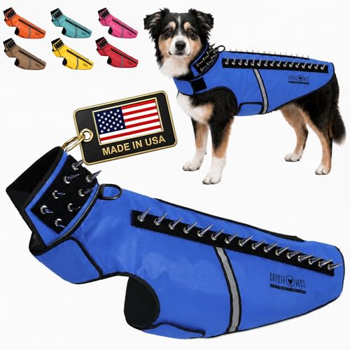 CoyoteVest SpikeVest Dog Harness, Made in the USA, L-Royal Blue | Stab-Resistant Protective Vest | Coyote Vest for Dogs | Defends Against Coyotes, Dogs, Birds of Prey | Reflective Safety - color: Royal Blue, size: Large