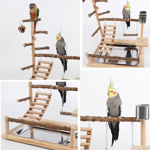 Natural Wooden Parrot Play Stand | Perch with Removable Tray, 2 Stainless Steel Cups & Swing | for Cockatiels, Budgies, Conures & Small Birds (2 Cup with Tray)