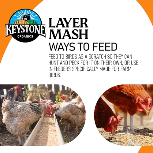 Layer Mash Chicken Feed, 44lb | Non-GMO, High Calcium for Strong Eggshells, For Chickens, Ducks, Geese, Pheasants & Guineas, No Artificial Hormones