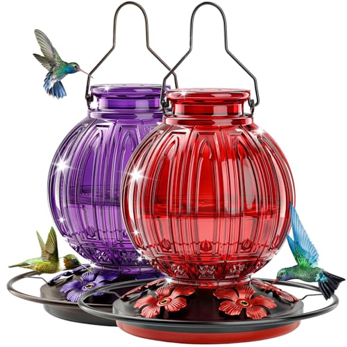 2 Pack Glass Hummingbird Feeder for Outdoors Hanging, Bird Nectar Feeder with Perch & 5 Flower Feeding Ports, 26 Oz Leak Proof for Outside Garden Decor Backyard, Gifts for Women Mom, Red + Purple - color: Red + Purple